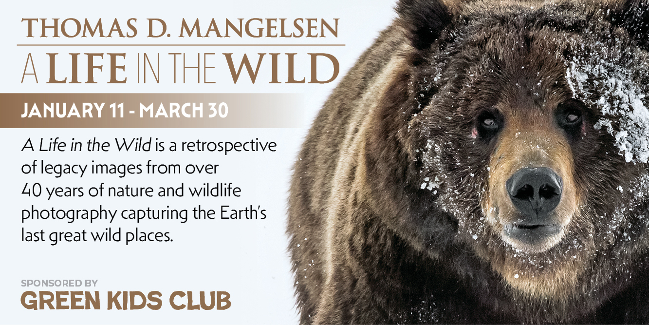 Mangelsen_WEBSITE_Banner.jpg